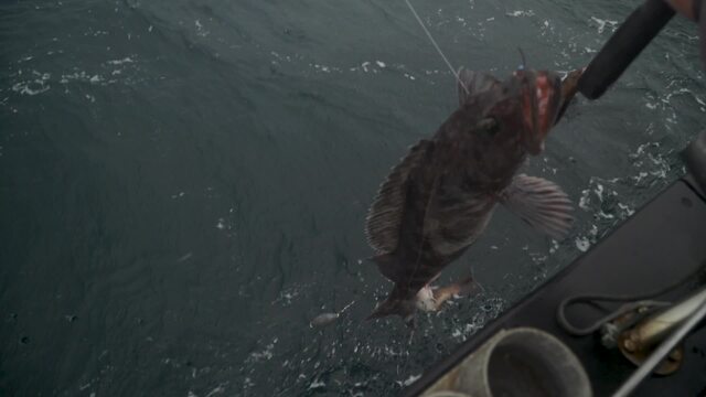 Sport Fishing Episode 35
