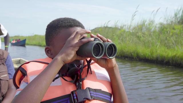 Wetlands