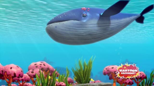 Journey to the Center of the Whale