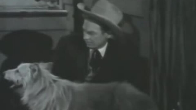 Shadows of Belle Starr