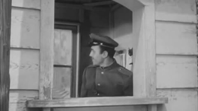The Decoy Story