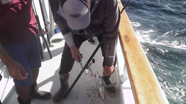 Sport Fishing Episode 27