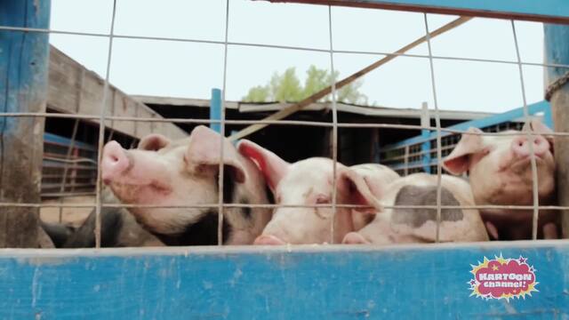 Old MacDonald Had a Farm