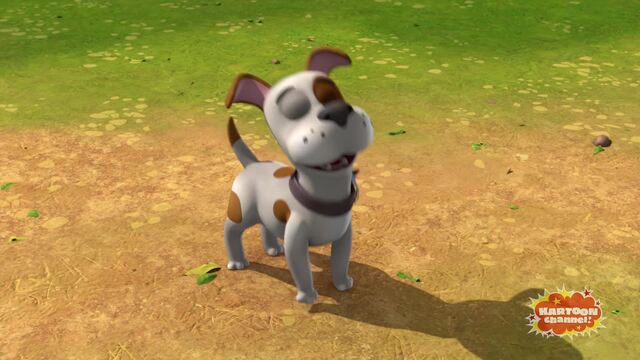Gone to the Dogs