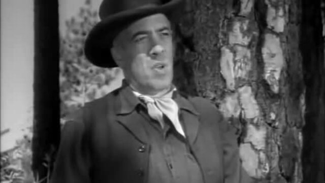 Doc Bell