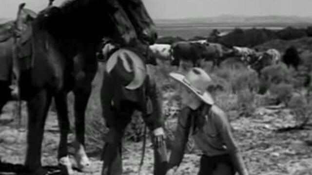 Boss Cowboy