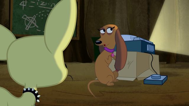 Working K-9 to 5