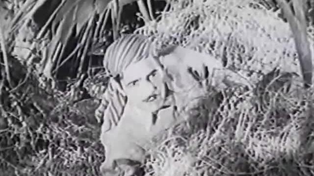 Wheels of Destruction