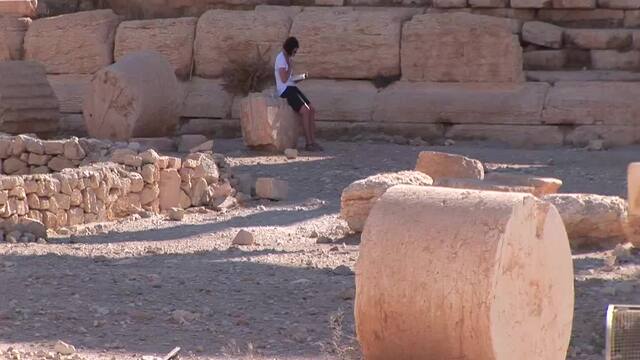 Syria: Syte of Palmyra