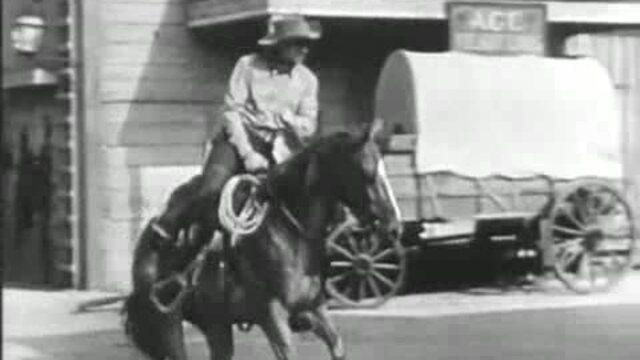  Little Britches