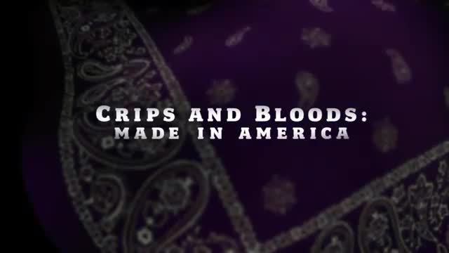 Crips & Bloods Made In America