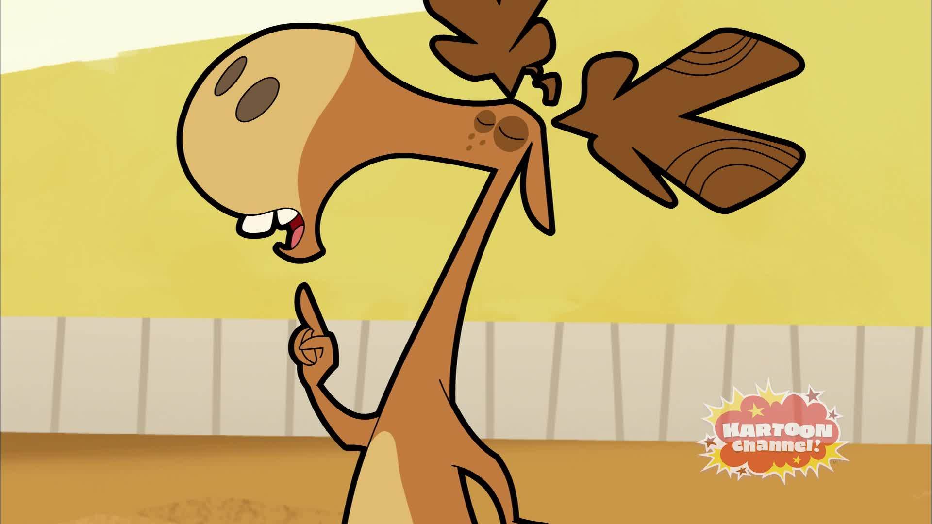 Rooster | Kartoon Channel