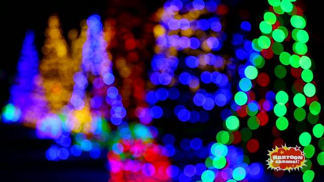 Holiday Light Display