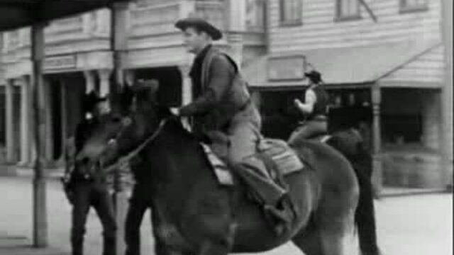 Tom Horn