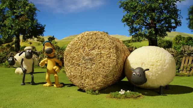 Hay Bale