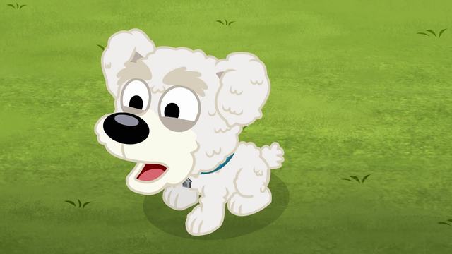 Puddles the Problem Pup