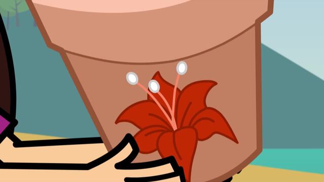 El caso de las flores pálidas