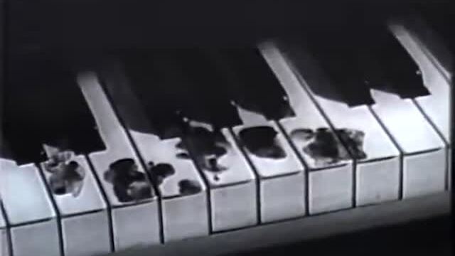The Hand