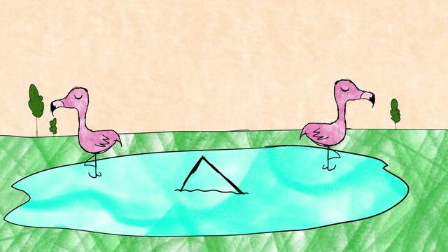 BALANCE IN PINK – ROOKIE AND THE FLAMINGO