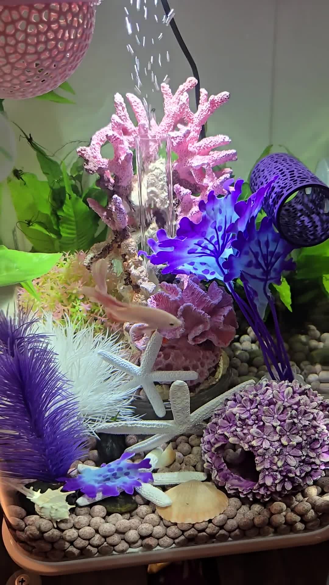 水槽 バイオーブ FLOW 30L biOrb フロー FLOW 30 Aquarium with Standard Light - 8 gallon – biOrb