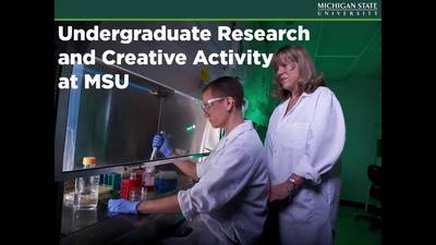 What is Undergraduate Research - MSU MediaSpace